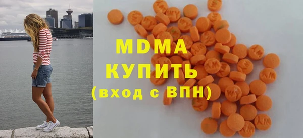 гашик Алексин