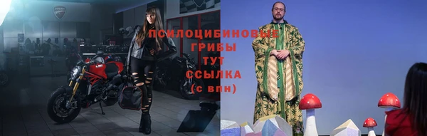 гашик Алексин