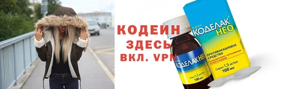 гашик Алексин