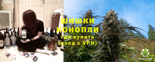гашик Алексин
