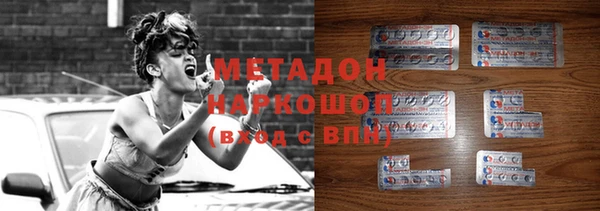 гашик Алексин